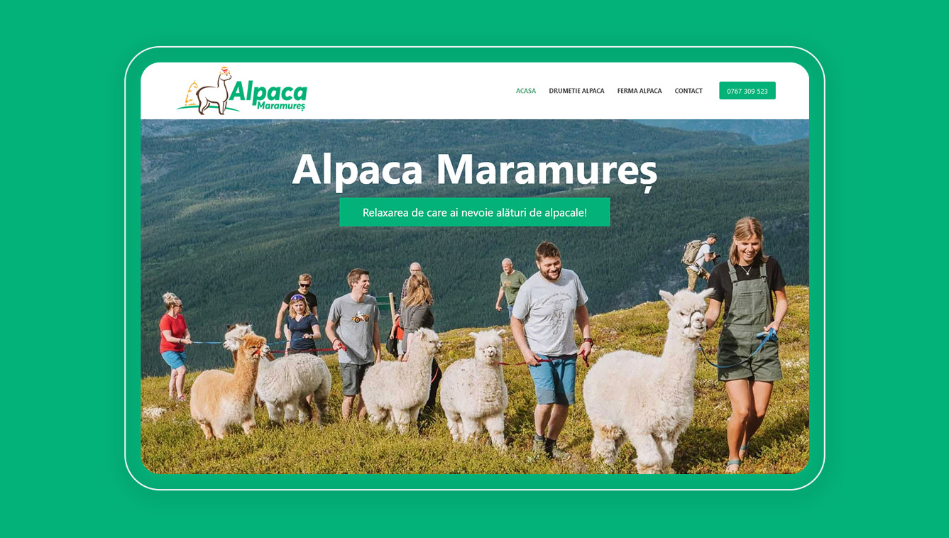 Alpaca Maramures Website-91