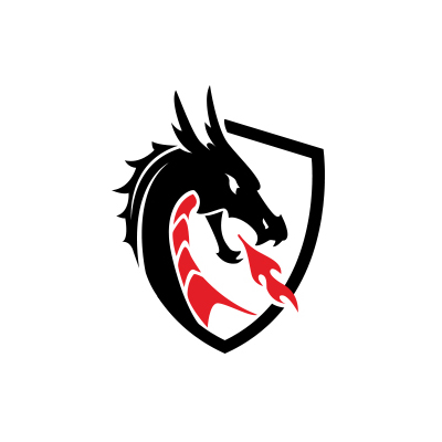 Logo design Dragon Security