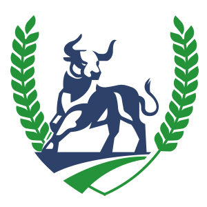 Logo design for sell Bull Logo