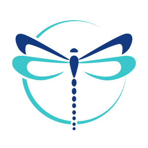 Logo design for sell Dragonfly Logo, only for $35